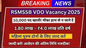 RSMSSB VDO Vacancy 2025